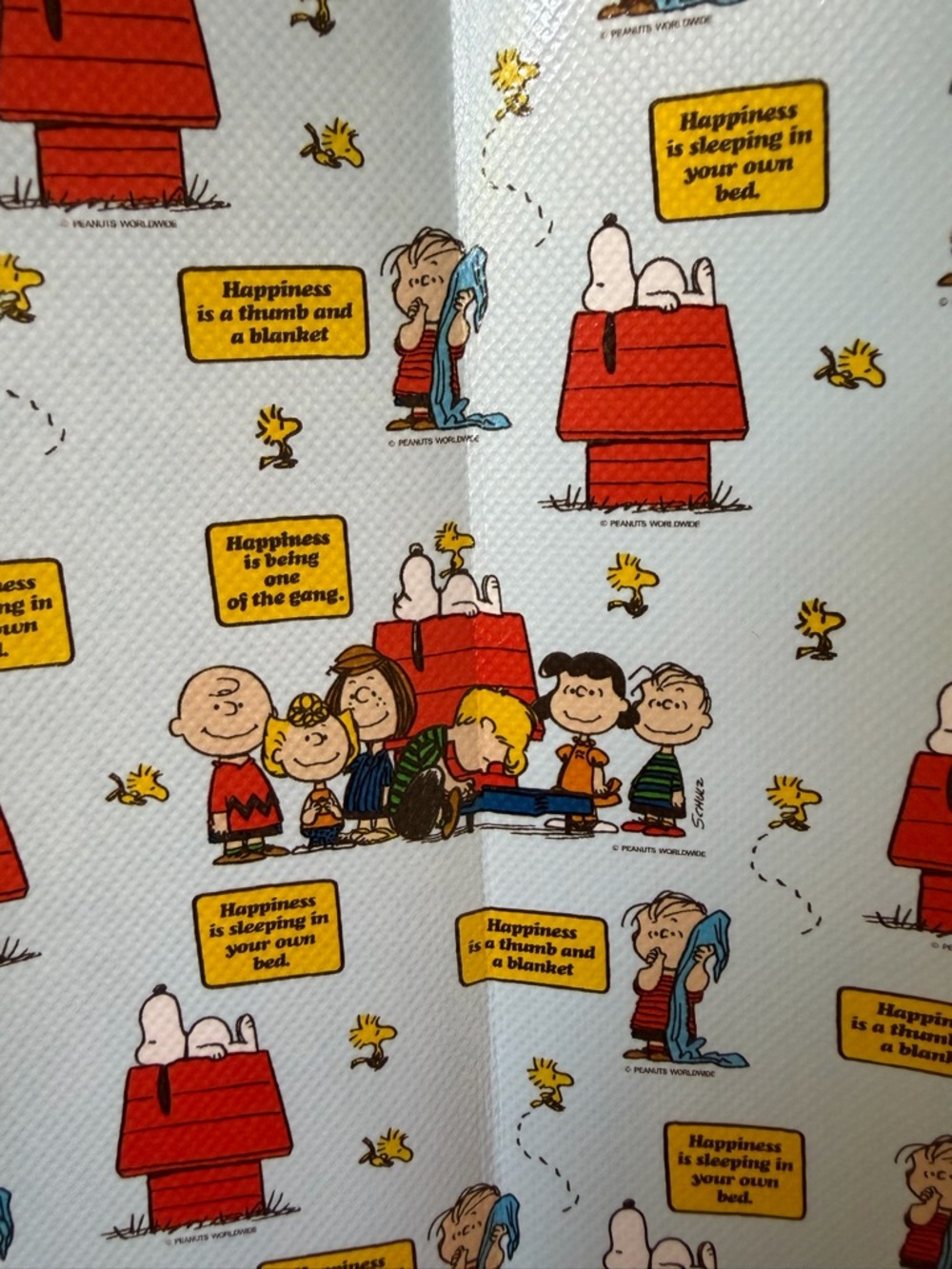 Peanuts Happiness Is Being One Of The Gang Reuseable Tote Bag Snoopy Woodstock - Picture 5 of 8